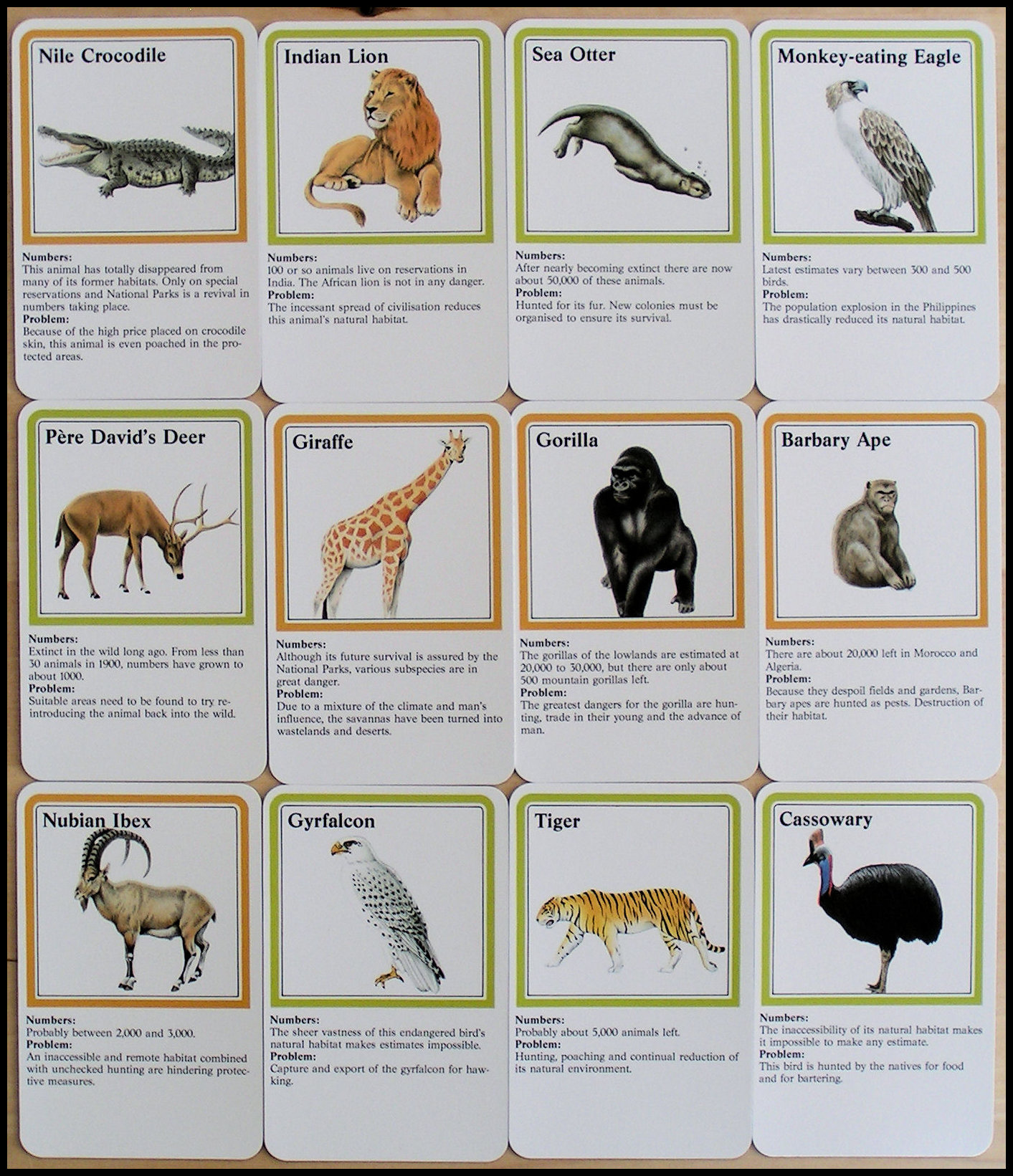 Wildlife Adventure - Some Animal Cards
