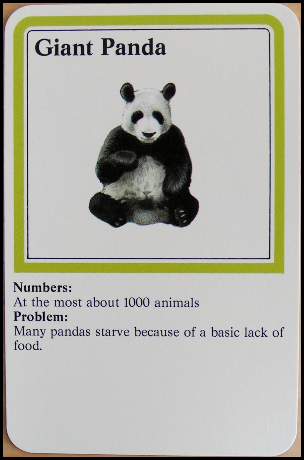 Wildlife Adventure - Giant Panda Card