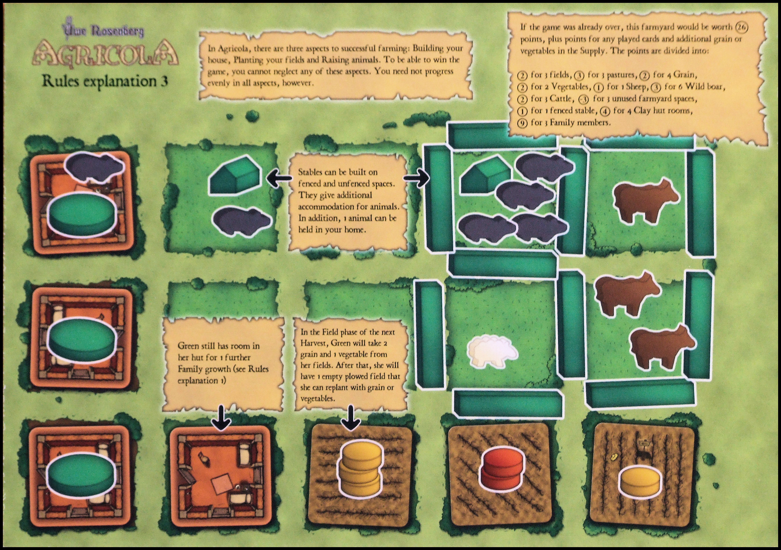Agricola - Rules Board 3 (Z-Man Games Edition)