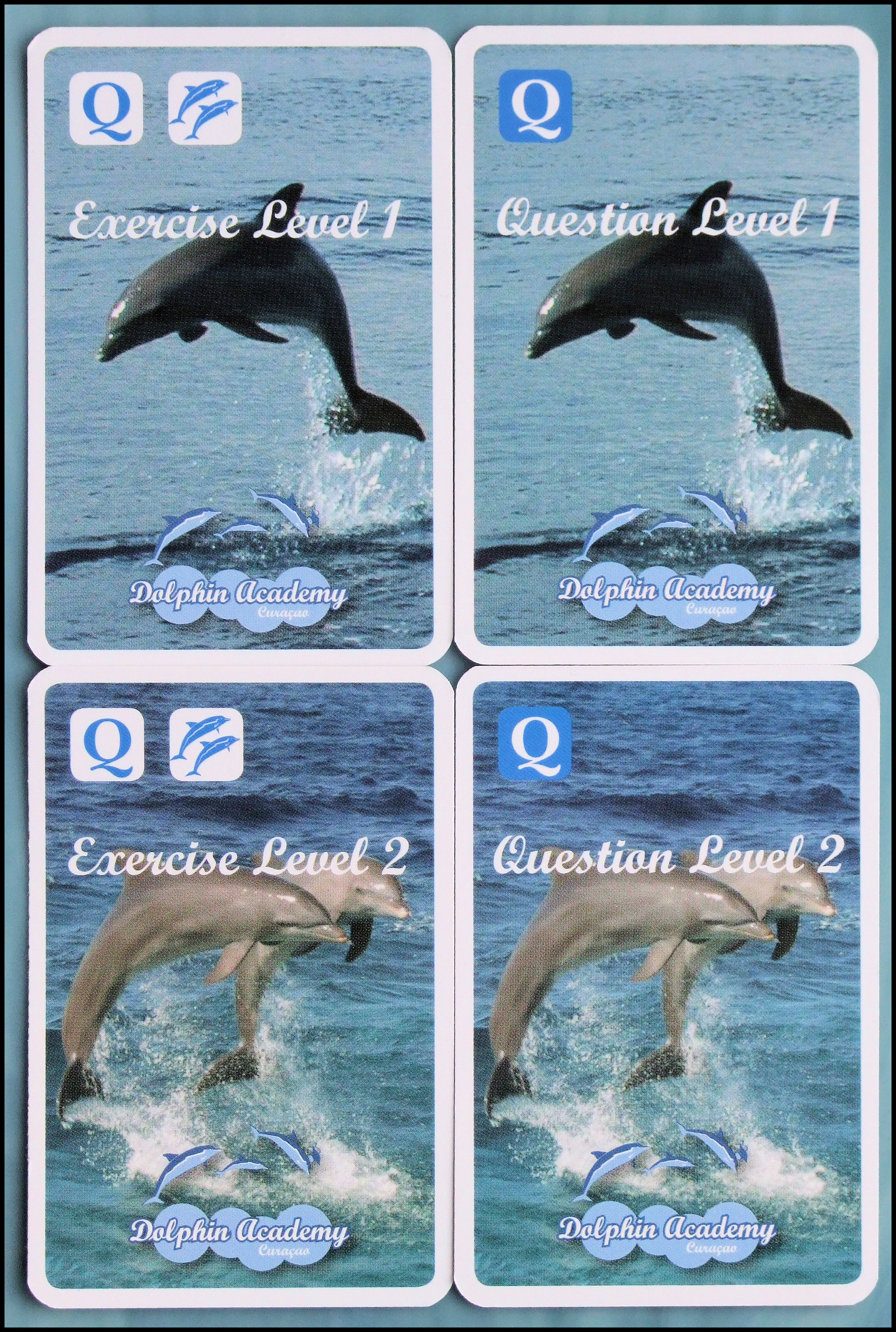 The Dolphin Training Game - Card Backs
