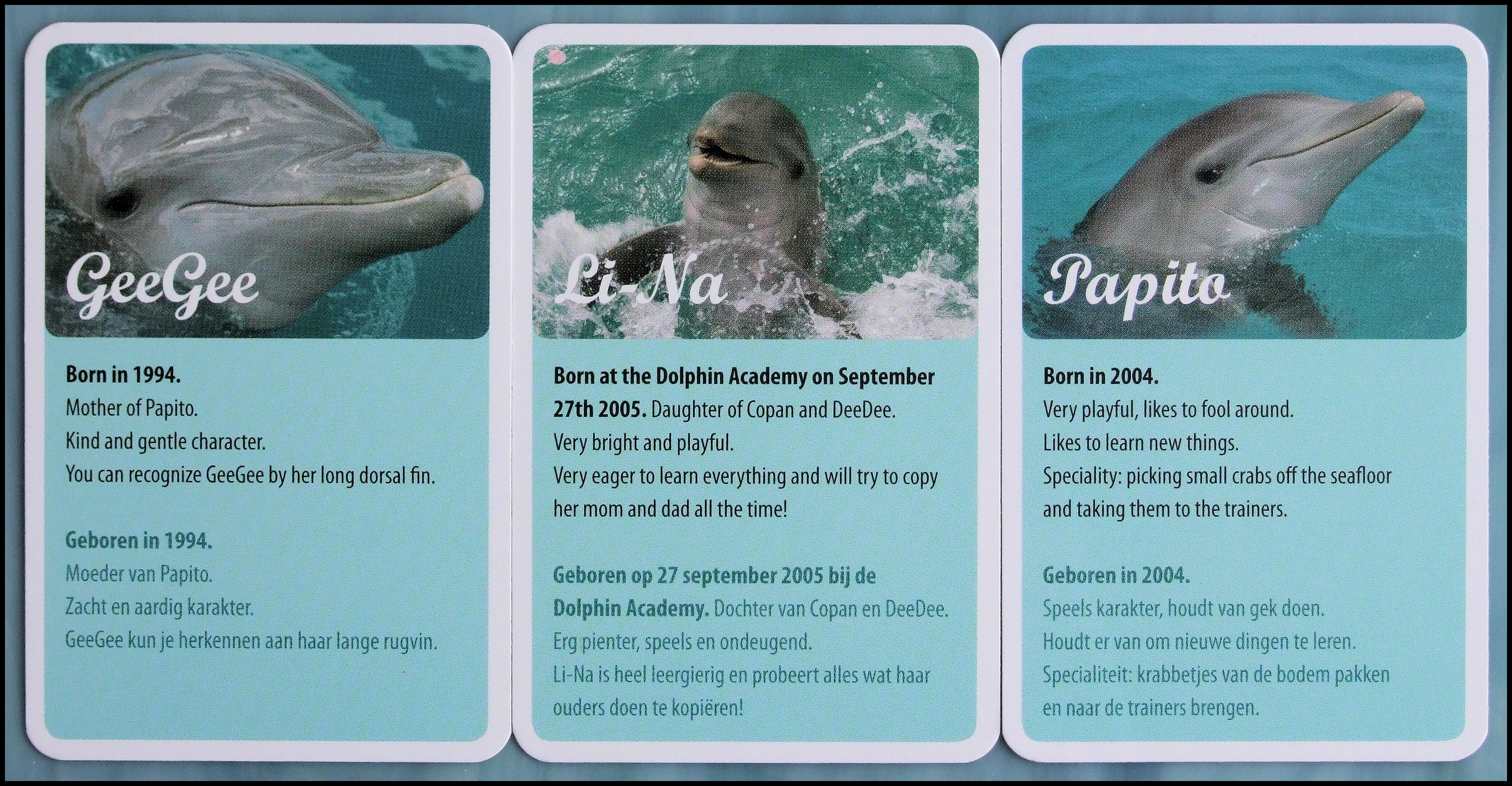 The Dolphin Training Game - Dolphin Cards