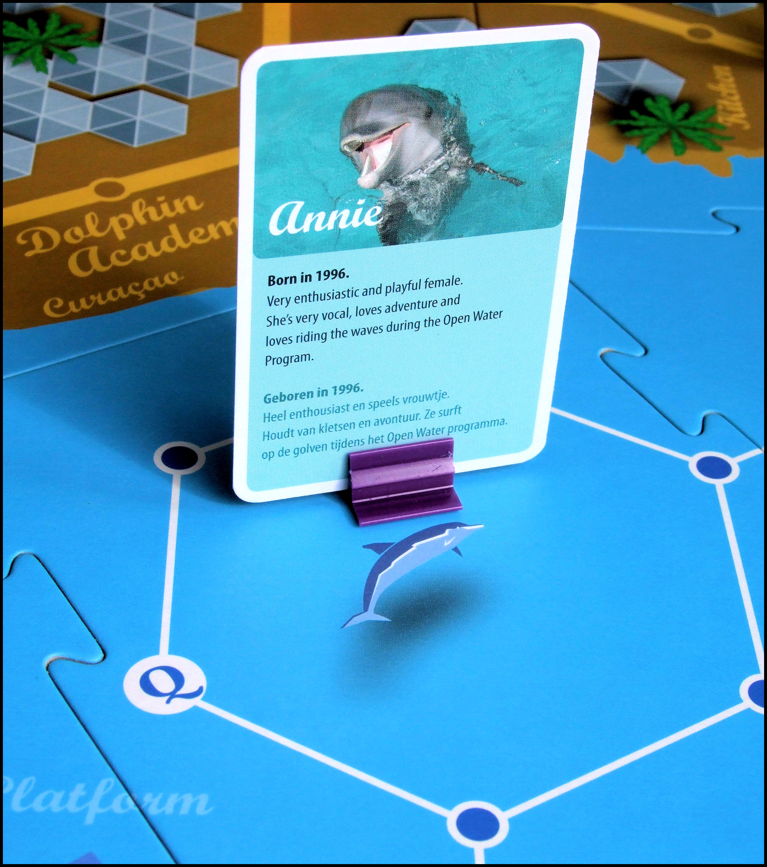 The Dolphin Training Game - Dolphin Training