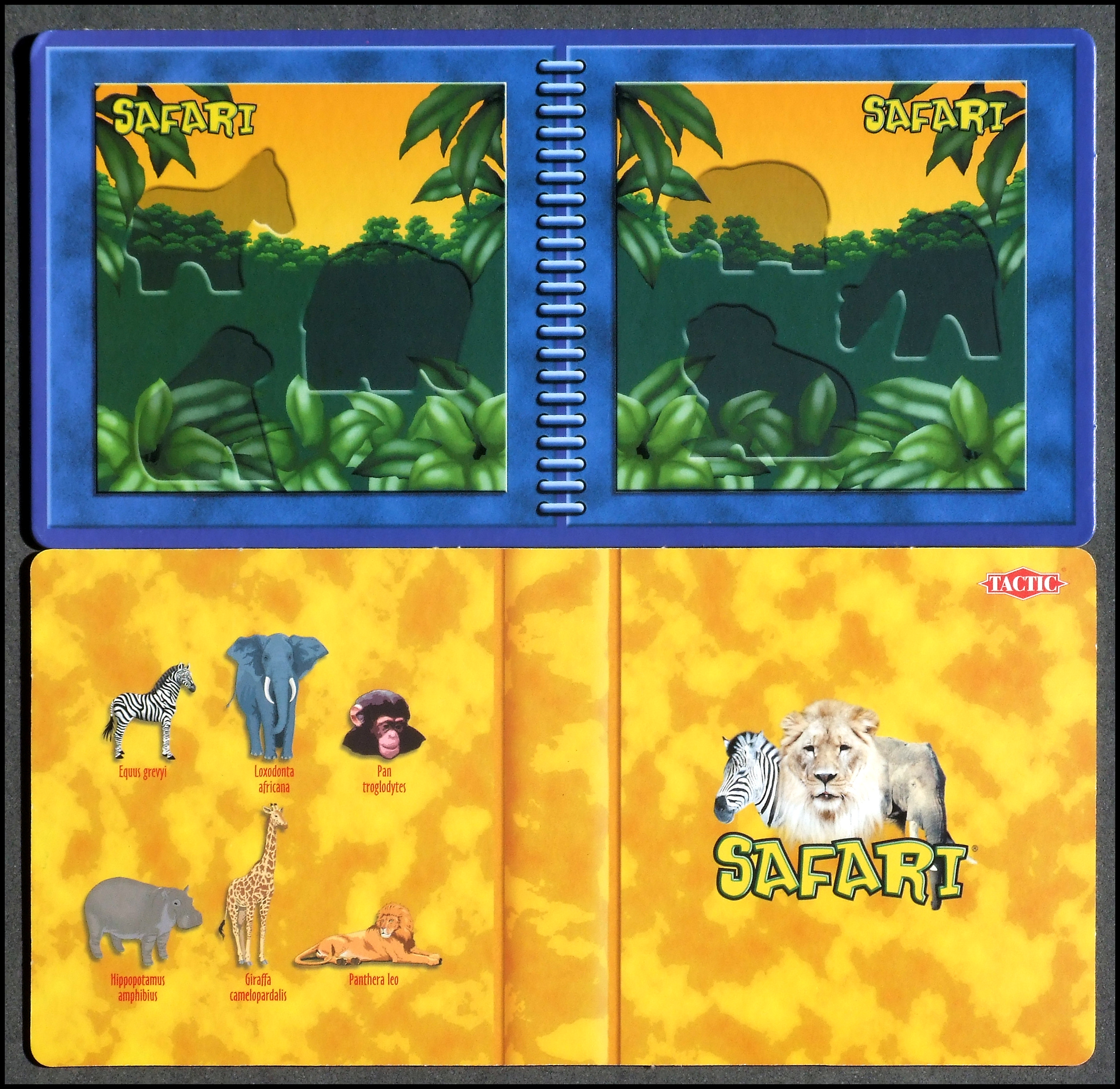 Safari - Player Board Front And Back